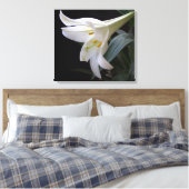 , zuivere witte paasbloem in zwart canvas afdruk (Insitu (Slaapkamer))