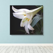 , zuivere witte paasbloem in zwart canvas afdruk (Insitu (Houten vloer))