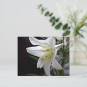 , zuivere witte paasbloem in zwart feestdagenkaart (Staand voorkant)