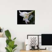 , zuivere witte paasbloem in zwart poster (Thuiskantoor)