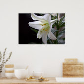 , zuivere witte paasbloem in zwart poster (Keuken)