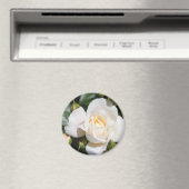  zuivere witte rozenbloem. bloemfotokunst. magneet (Insitu (Vaatwasser))