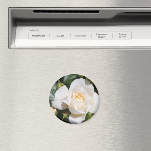  zuivere witte rozenbloem. bloemfotokunst. magneet (Insitu (Vaatwasser))