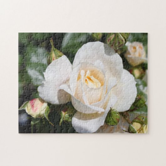 zuivere witte rozenbloemen, liefde, romance legpuzzel (Horizontaal)