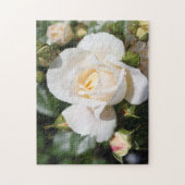 zuivere witte rozenbloemen, liefde, romance legpuzzel (Verticaal)