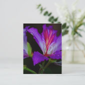 Zuiverheid Briefkaart (Staand voorkant)