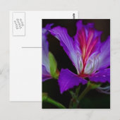 Zuiverheid Briefkaart (Voorkant / Achterkant)