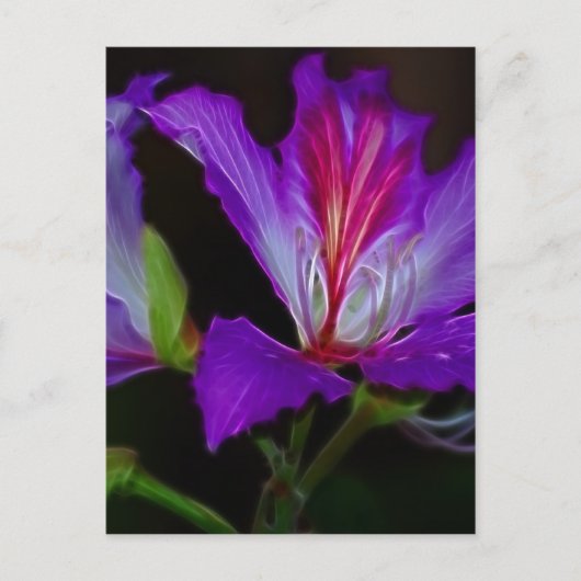 Zuiverheid Briefkaart (Voorkant)