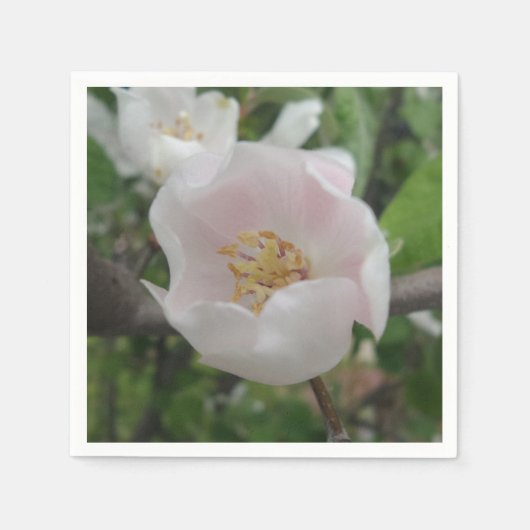 Zuiverheid Cocktail Paper Napkins Servet (Voorkant)