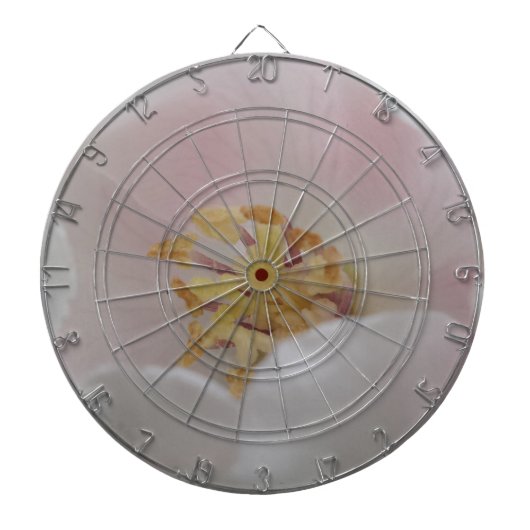 Zuiverheid dartboard dartbord (Voorkant)