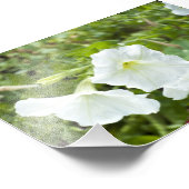 Zuiverheid in helder foto afdruk (Hoek)