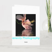 Zuiverheid Kaart (Achterkant)