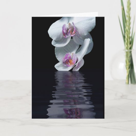 Zuiverheid Kaart (Voorkant)