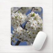 Zuiverheid Muismat (Met muis)