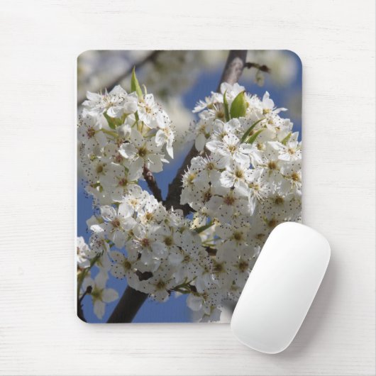 Zuiverheid Muismat (Met muis)