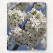 Zuiverheid Muismat (Voorkant)