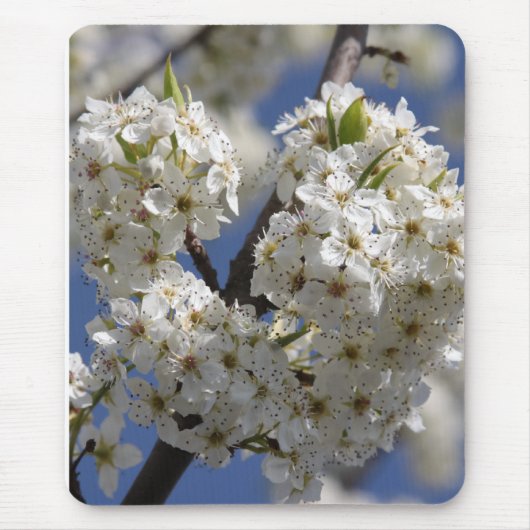 Zuiverheid Muismat (Voorkant)