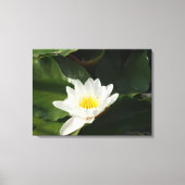 Zuiverheid Water Lilly, Lotus Fotografie Wall Art Canvas Afdruk (Voorkant)