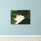 Zuiverheid Water Lilly, Lotus Fotografie Wall Art Canvas Afdruk (Insitu (Houten vloer))
