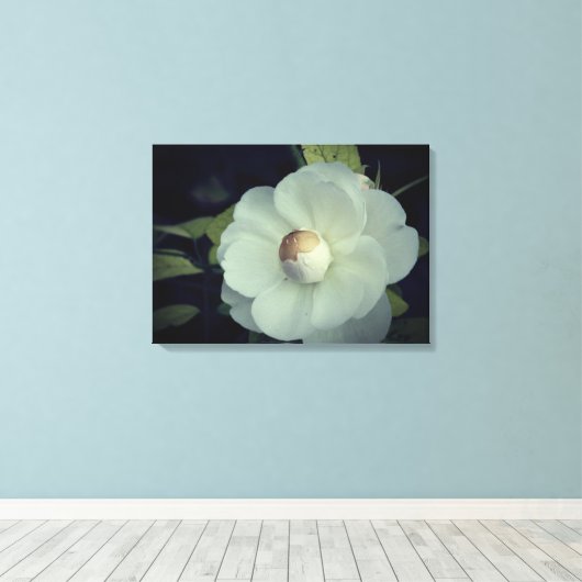 Zuiverheid, witte bloem canvas afdrukken (Insitu (Houten vloer))