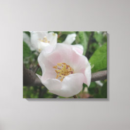 Zuiveringscanvas Canvas Afdruk