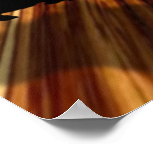 Zullen we Dance Poster (Hoek)