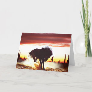 Zullen we dansen - Paard Wenskaart Bedankkaart