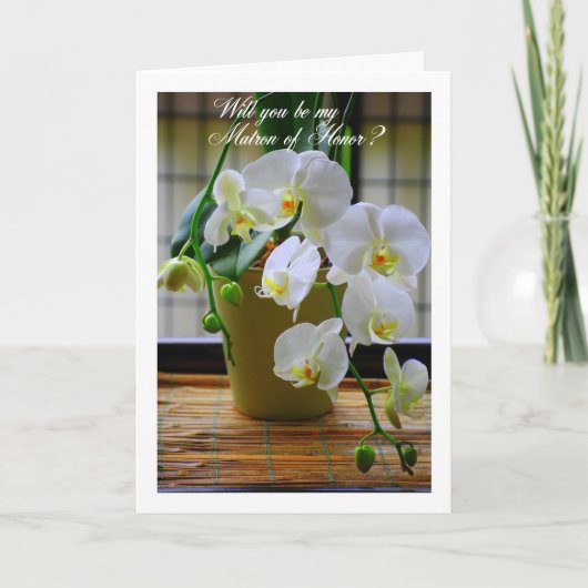 Zult u mijn getuige zijn, witte orchideeën? (Voorkant)