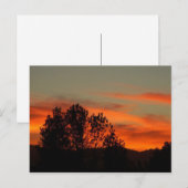 Zulu Dawn Briefkaart (Voorkant / Achterkant)