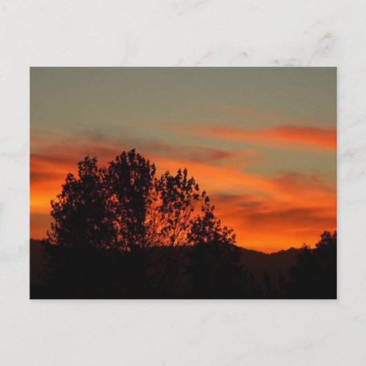 Zulu Dawn Briefkaart (Voorkant)