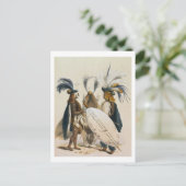 Zulu Soldaten van het leger van koning Panda, bord Briefkaart (Staand voorkant)