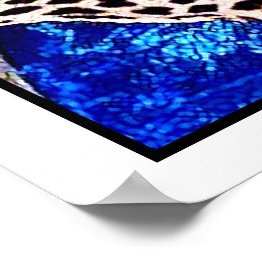 Zulu Warrior en zijn koningin: Poster (Hoek)