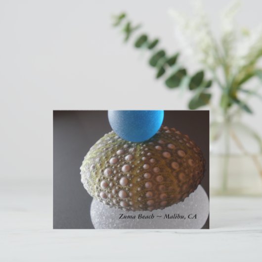 Zuma Beach Briefkaart (Staand voorkant)