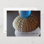 Zuma Beach Briefkaart (Voorkant / Achterkant)