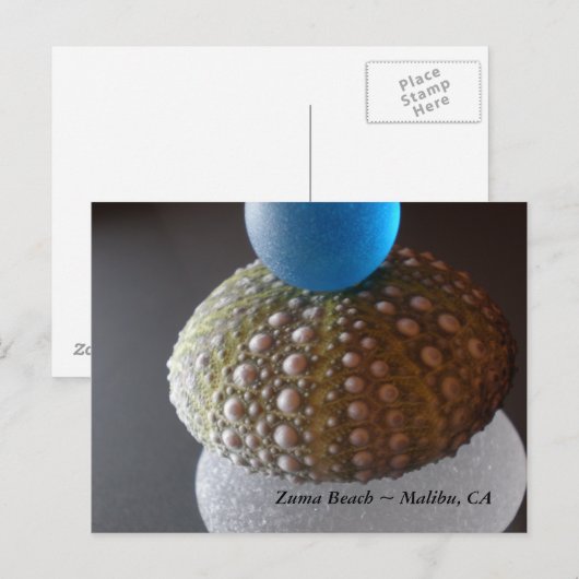 Zuma Beach Briefkaart (Voorkant / Achterkant)
