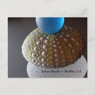 Zuma Beach Briefkaart