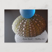 Zuma Beach Briefkaart (Voorkant)