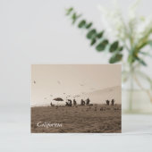 Zuma Beach Briefkaart (Staand voorkant)