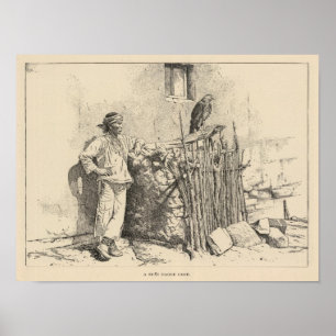 Zuni-adelkooi Poster