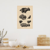 Zuni-fetiches Poster (Keuken)