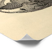 Zuni grails poster (Hoek)