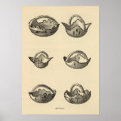 Zuni grails poster (Voorkant)