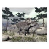 Zuniceratops dinosaur - 3D rendering Foto Afdruk (Voorkant)