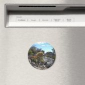 Zuniceratops dinosaurus magneet (Insitu (Vaatwasser))