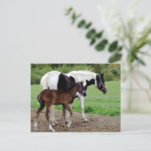 zura3 briefkaart (Staand voorkant)