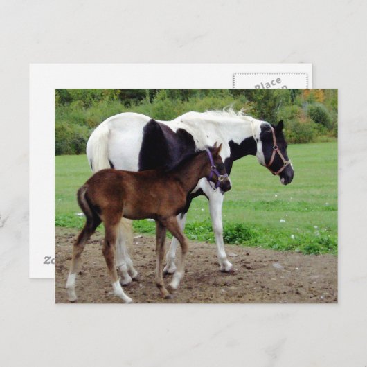 zura3 briefkaart (Voorkant / Achterkant)