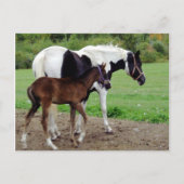 zura3 briefkaart (Voorkant)