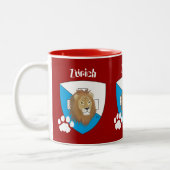 Zürich Schweiz Suisse Svizzera Tasse Tweekleurige Koffiemok (Links)