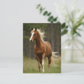 Zuring met vlasmanen en staart briefkaart (Staand voorkant)