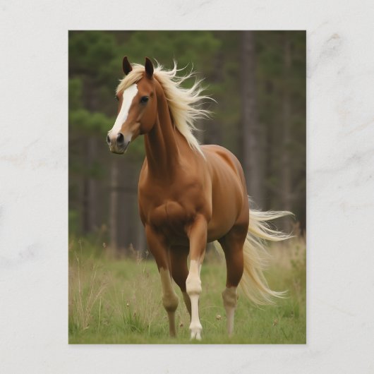 Zuring met vlasmanen en staart briefkaart (Voorkant)